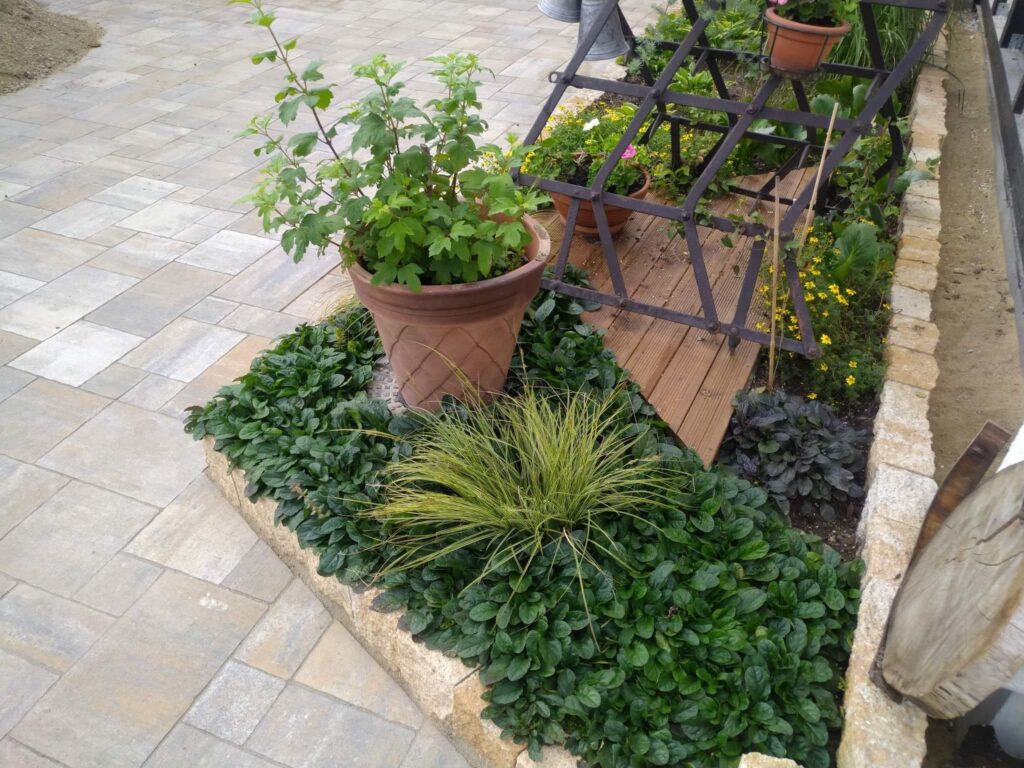 Aranżacja rabaty ogrodowej przy tarasie – realizacja Bolesławiec