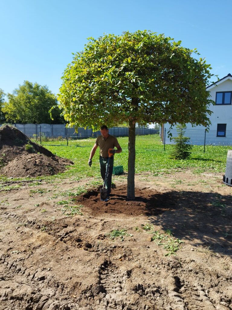 Nasadzenia roślin ozdobnych w ogrodzie Siekierczyn