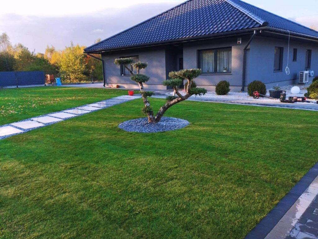 Nowoczesny ogród przy domu jednorodzinnym w Zgorzelcu – trawnik i aranżacja zieleni