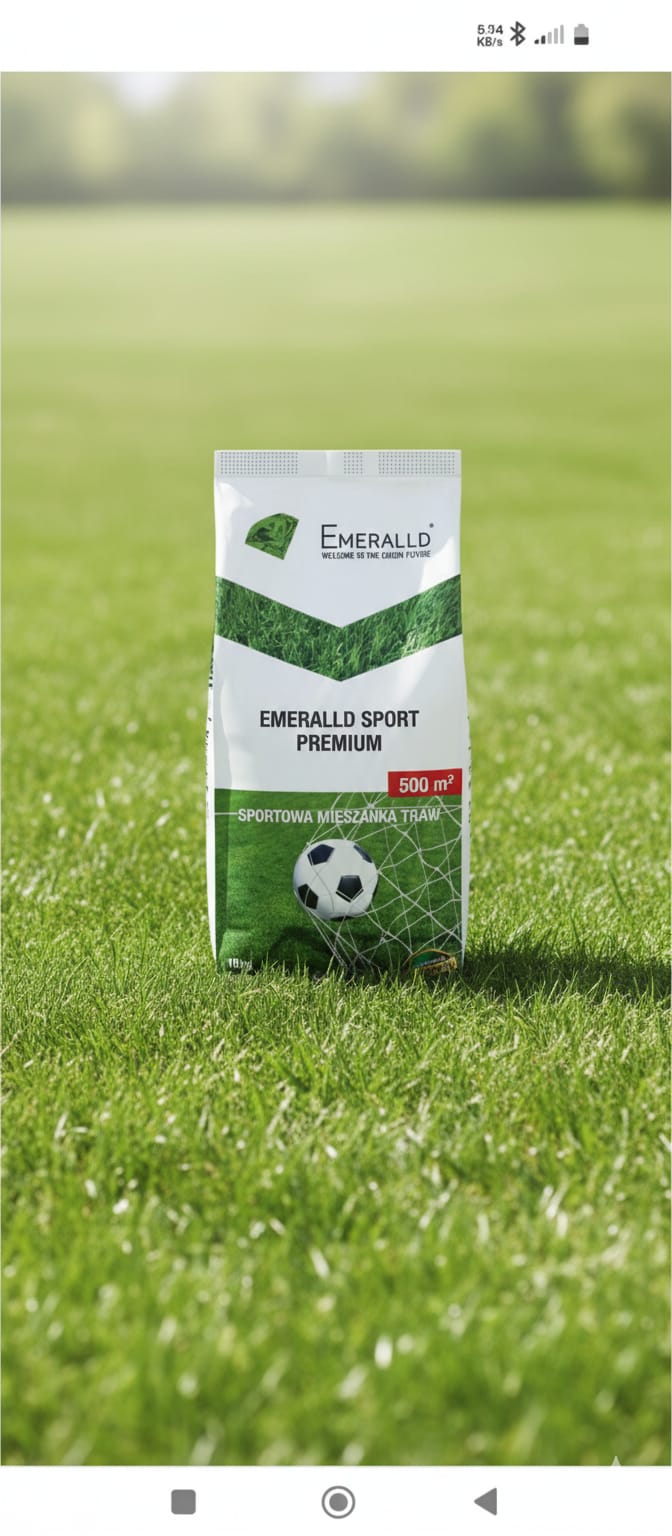 Profesjonalna sportowa mieszanka traw do regeneracji i zakładania trawnika Pieńsk