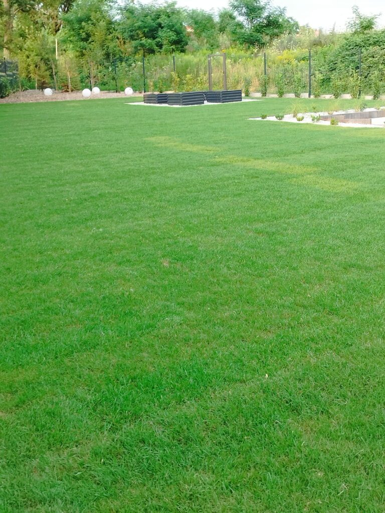 Zakładanie trawnika na dużej działce Mirsk