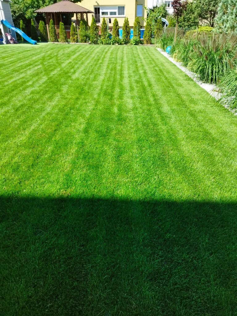 Trawnik z rolki po realizacji Szklarska Poręba