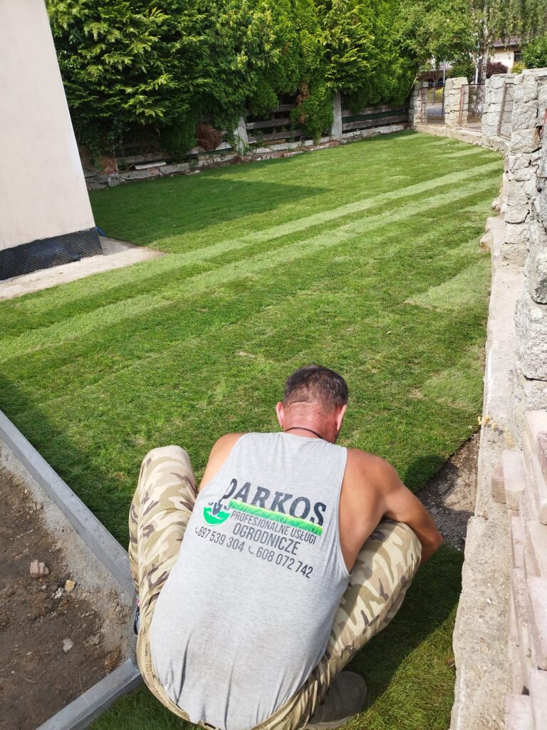 Zakładanie trawnika z rolki przy domu jednorodzinnym Zgorzelec