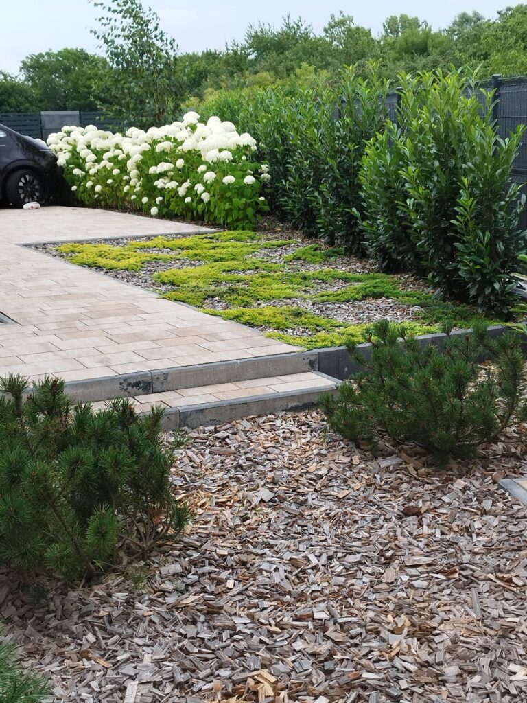 Układanie kostki brukowej oraz nasadzenia ogrodowe w Lubaniu – kompleksowe zagospodarowanie terenu