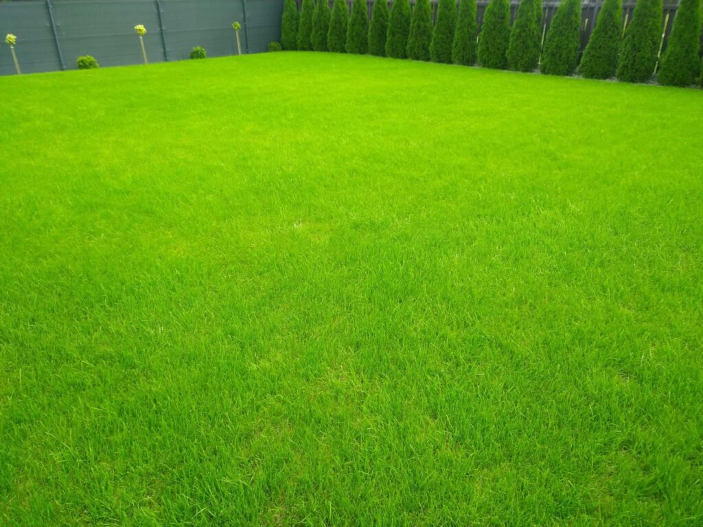 Pielęgnacja i koszenie dużego trawnika przy posesji w Zgorzelcu – profesjonalne usługi ogrodnicze