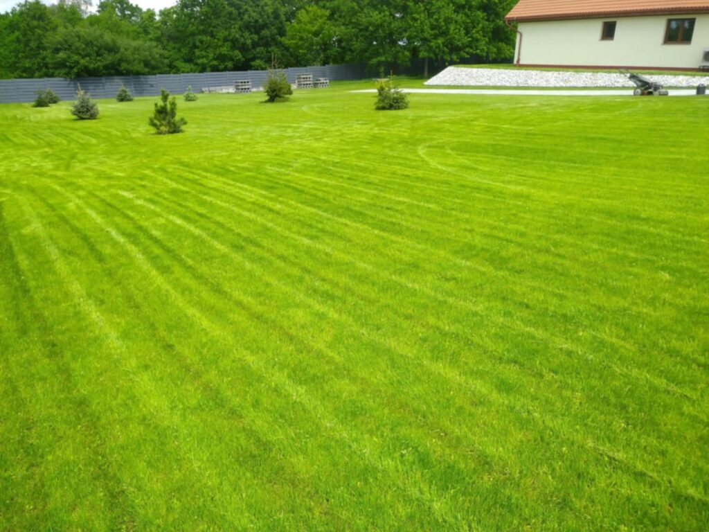 Profesjonalne koszenie trawnika w pasy w Zgorzelcu – estetyczne wykończenie ogrodu